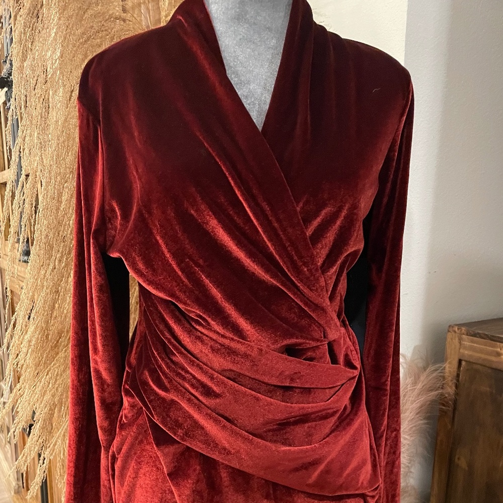 Rachel Roy Redwood Velvet Dress